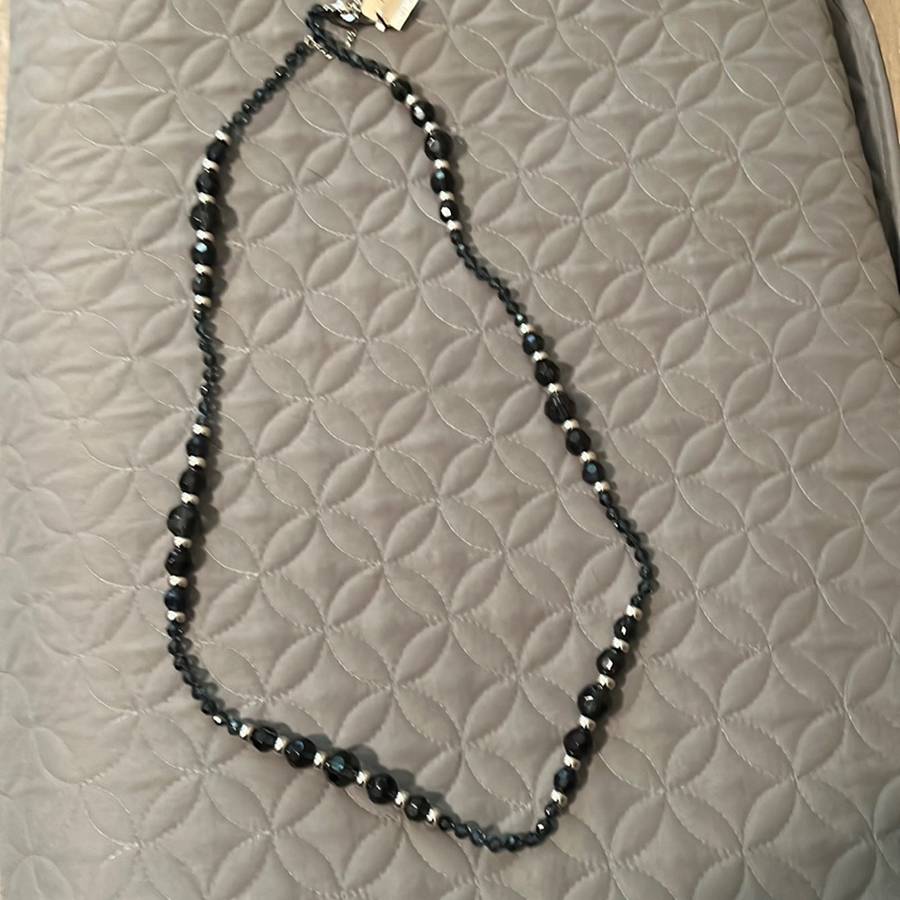 NWT Talbots Long Faceted Midnight Blue and Silver Necklace